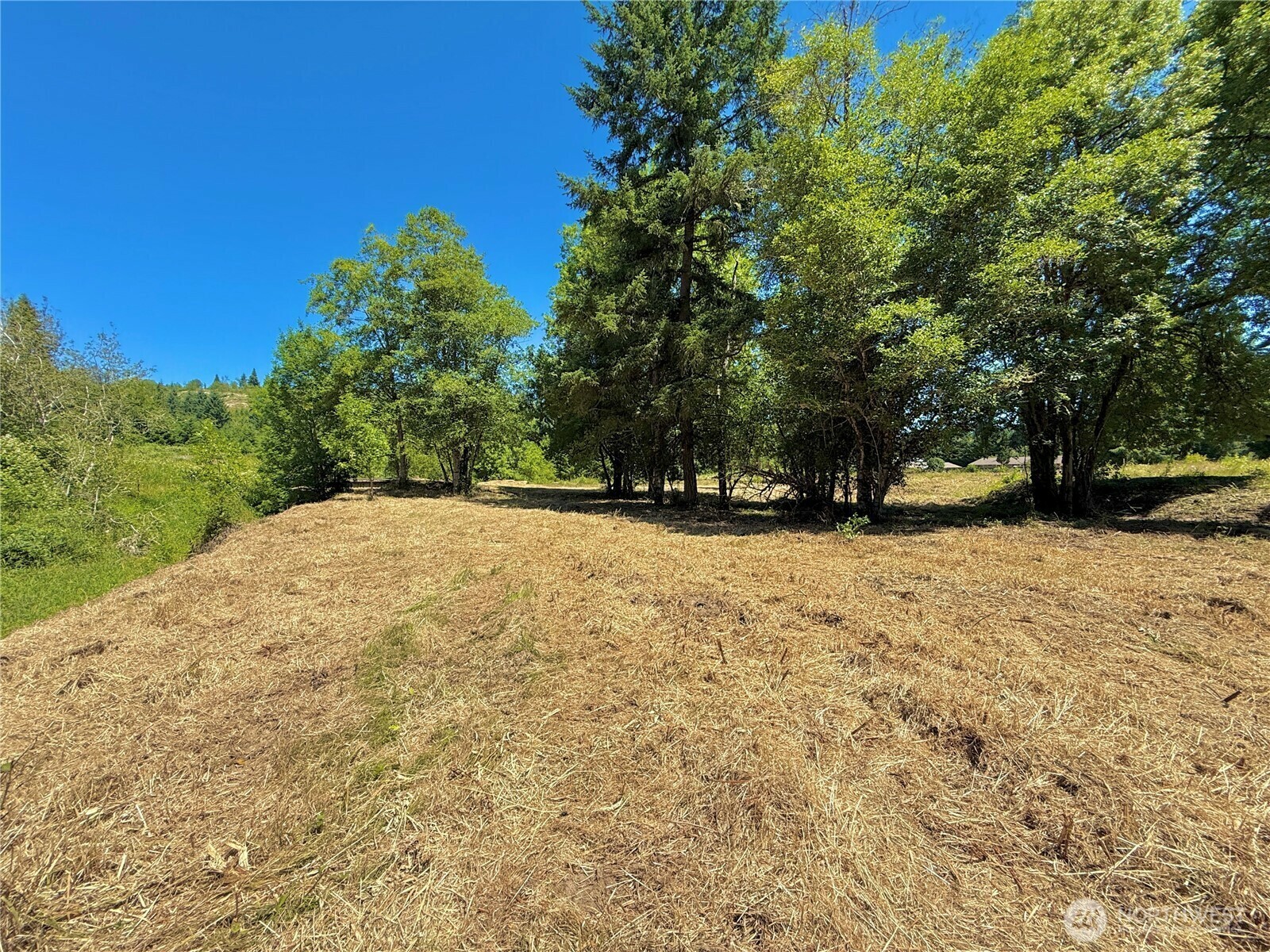 Property Photo: 127 Sawall F WA 98531