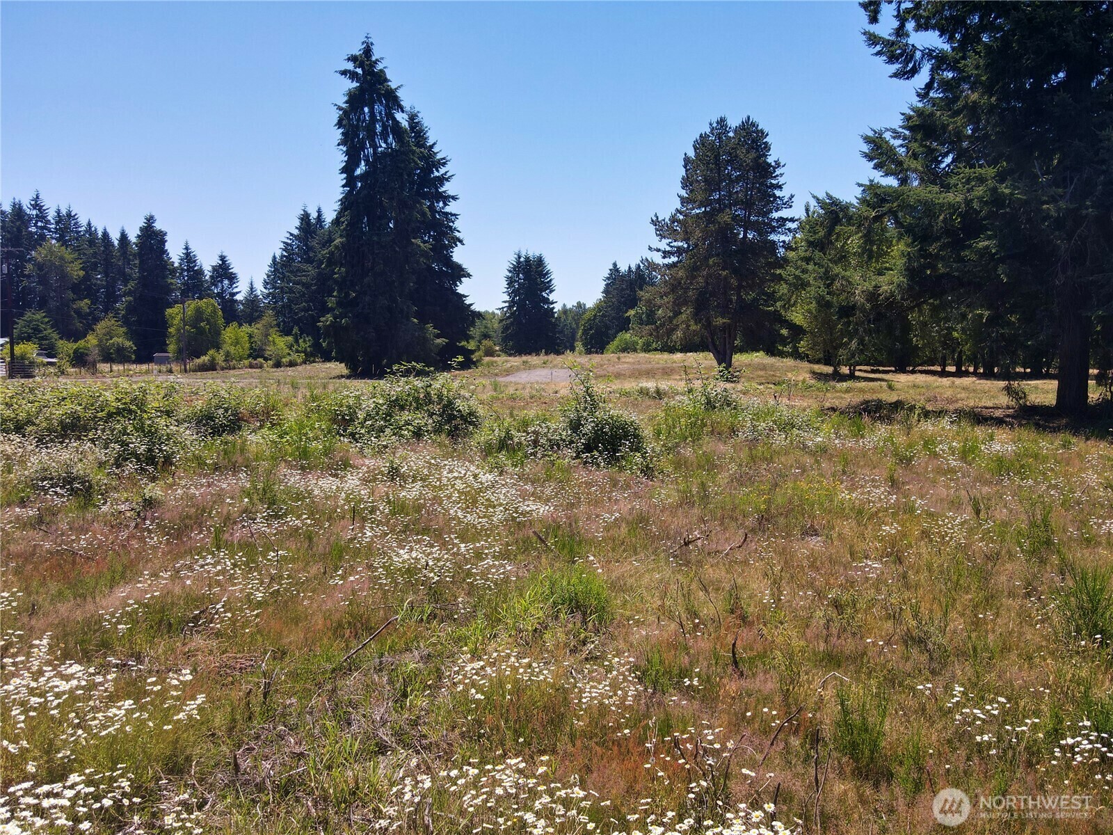 Property Photo: 127 Sawall D WA 98531