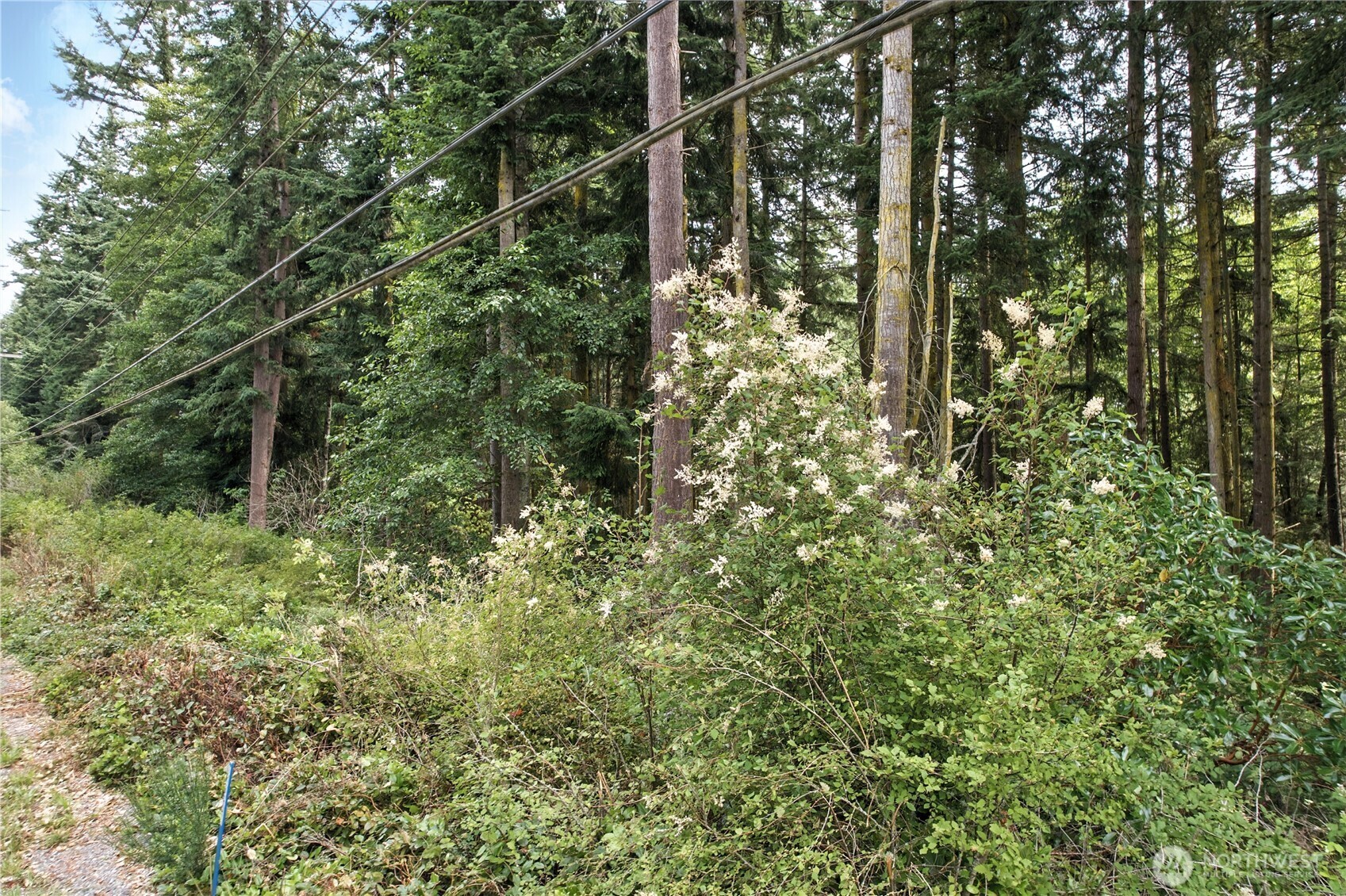 Property Photo: 748 Gun Club Road WA 98277