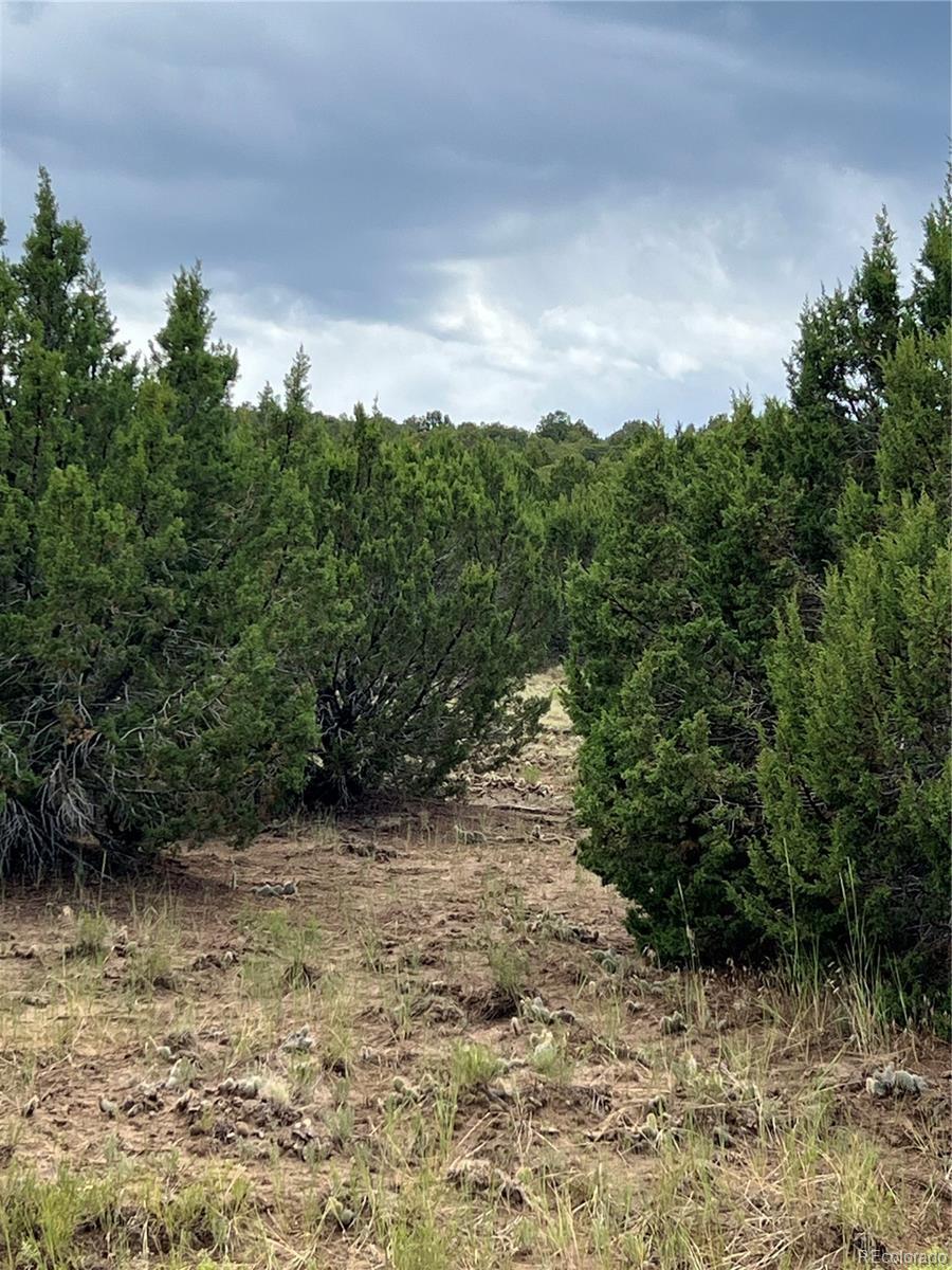 Property Photo: Sunrise Road CO 81089