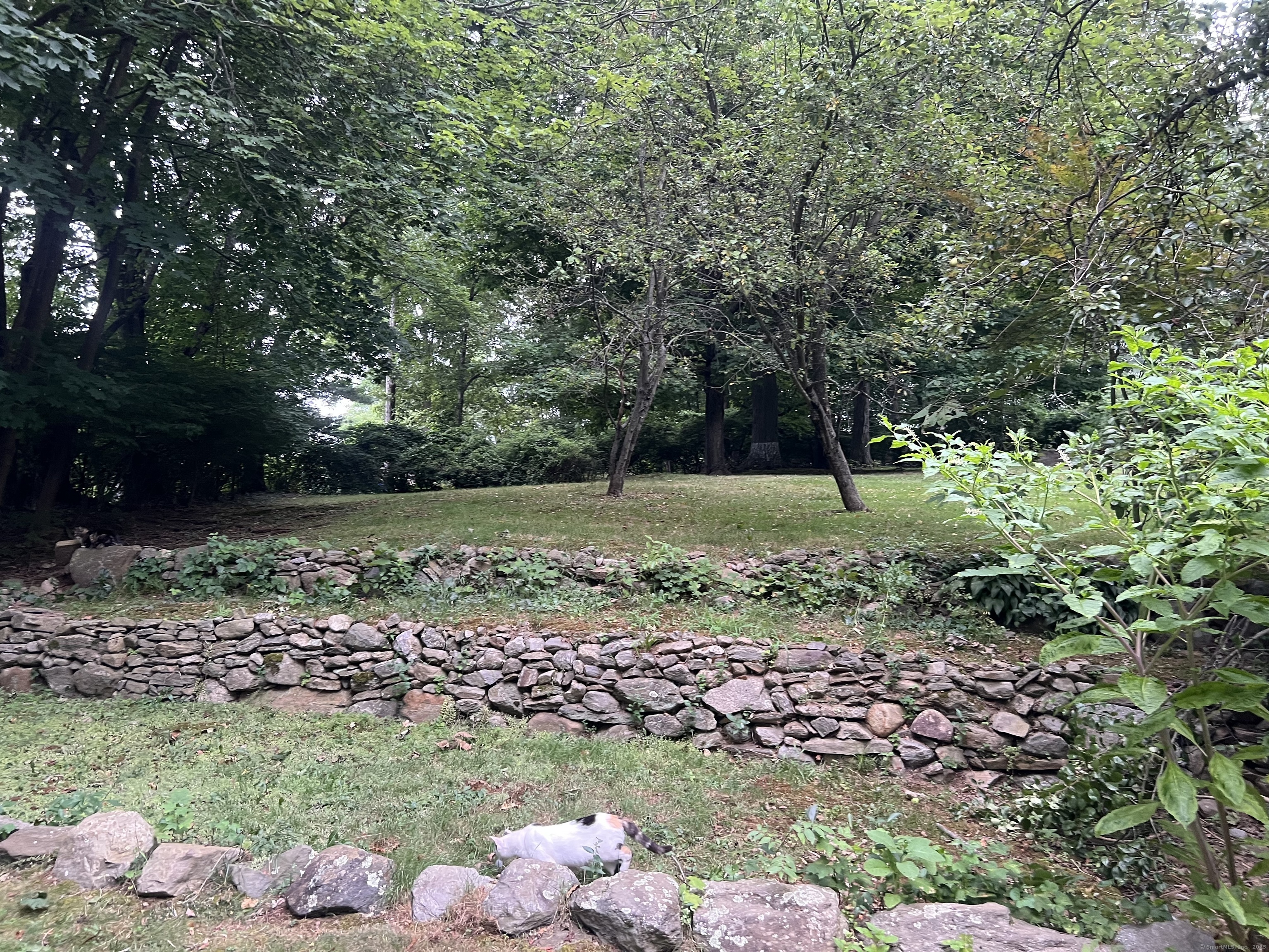 Property Photo:  293 Barryscott Drive  CT 06825 