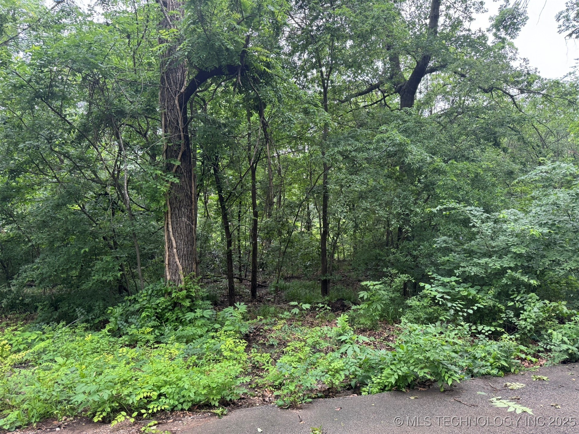 Property Photo:  0 S Maple Street  OK 74019 