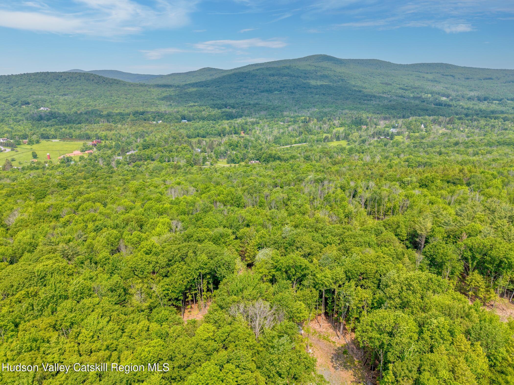 Property Photo:  Tbd Boulder Brook Lot 8  NY 12496 