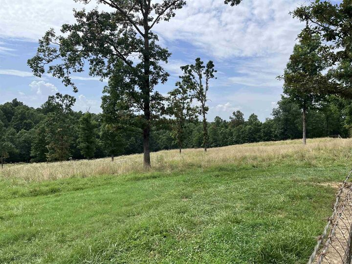 Property Photo:  385 Walnut Grove Circle  AR 72554 