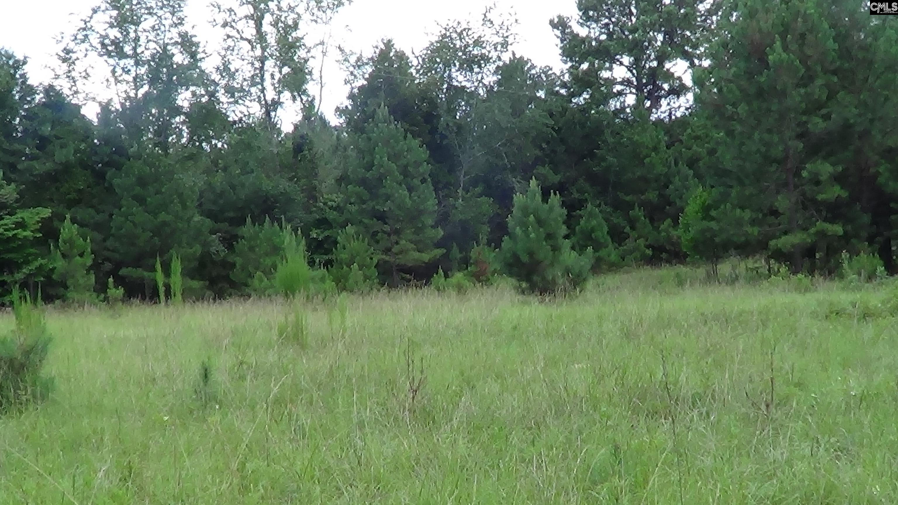 Property Photo: 2815 Highway 1 SC 29045