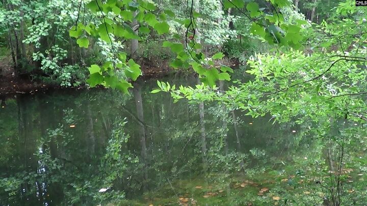 Property Photo:  2815 Highway 1  SC 29045 