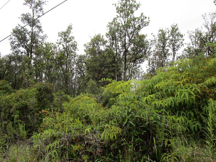 Property Photo: Malia Aina Rd HI 96785