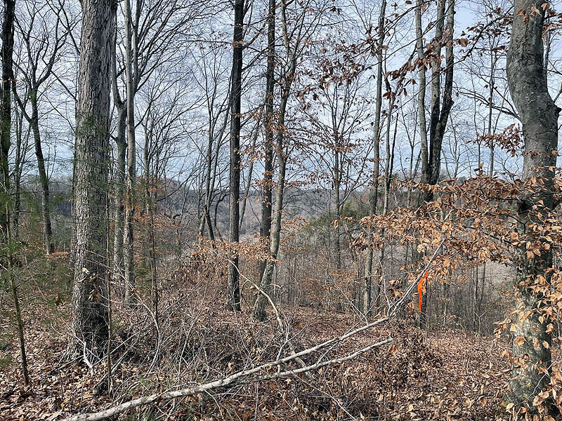 Property Photo:  Lot 83 Stillwater  KY 42642 
