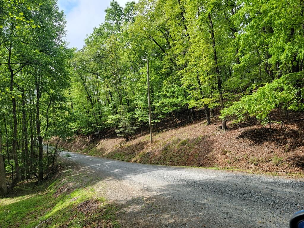 Property Photo:  Lt 563 Nexus Drive  GA 30540 