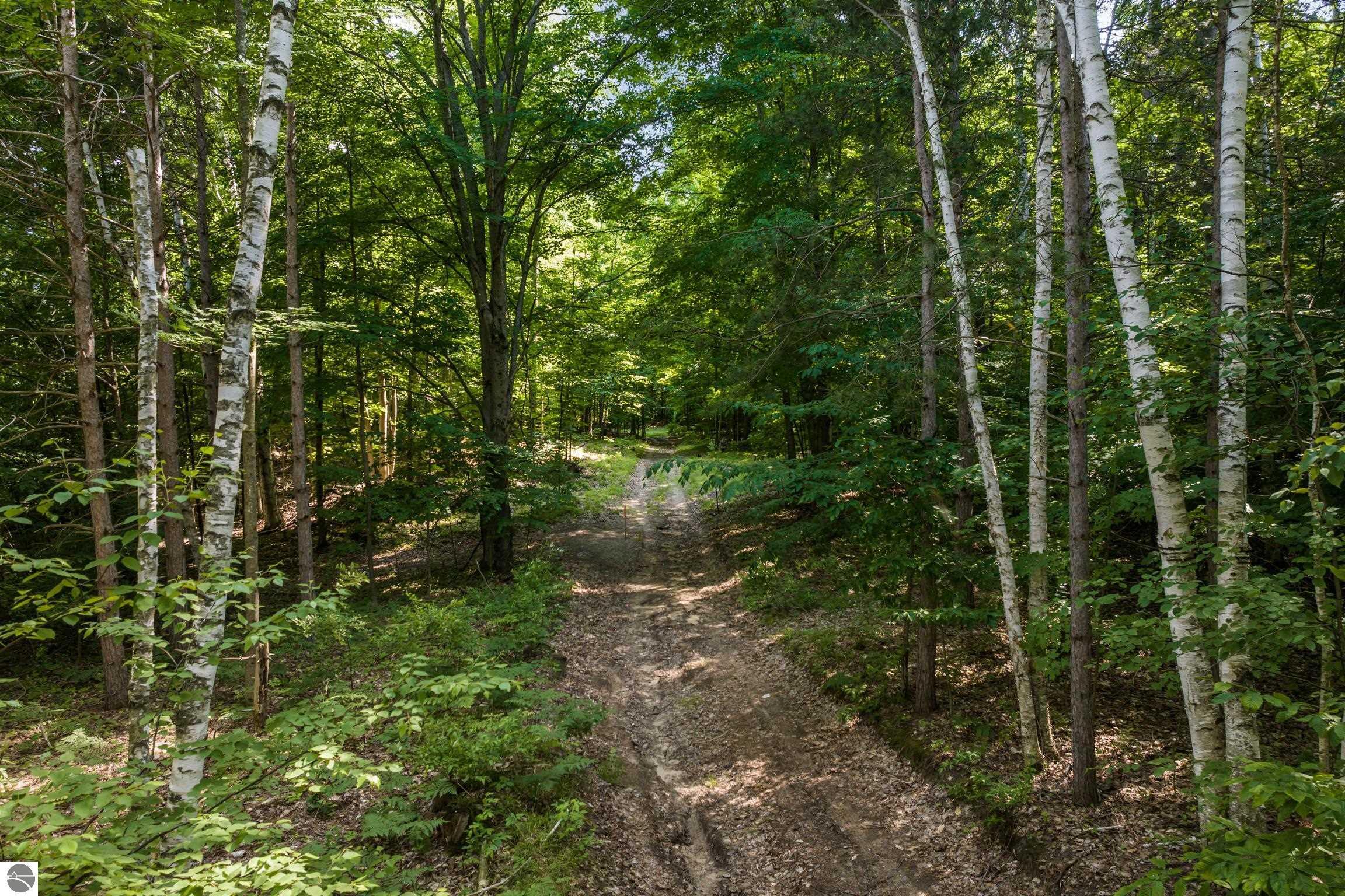 Property Photo: 0000 Hjelte Road MI 49648