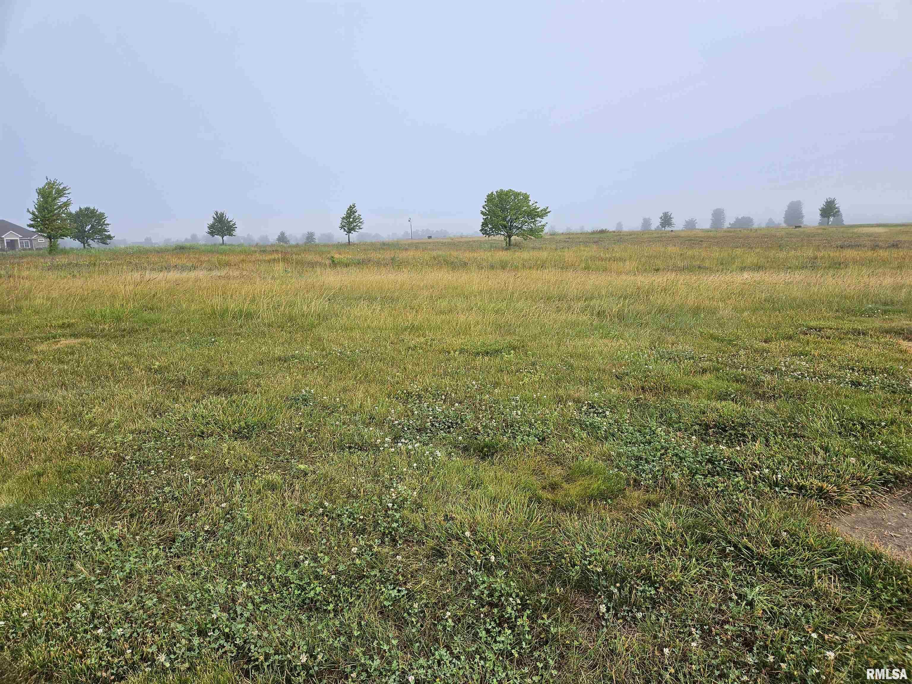 921 Ring Drive  Metamora IL 61548 photo