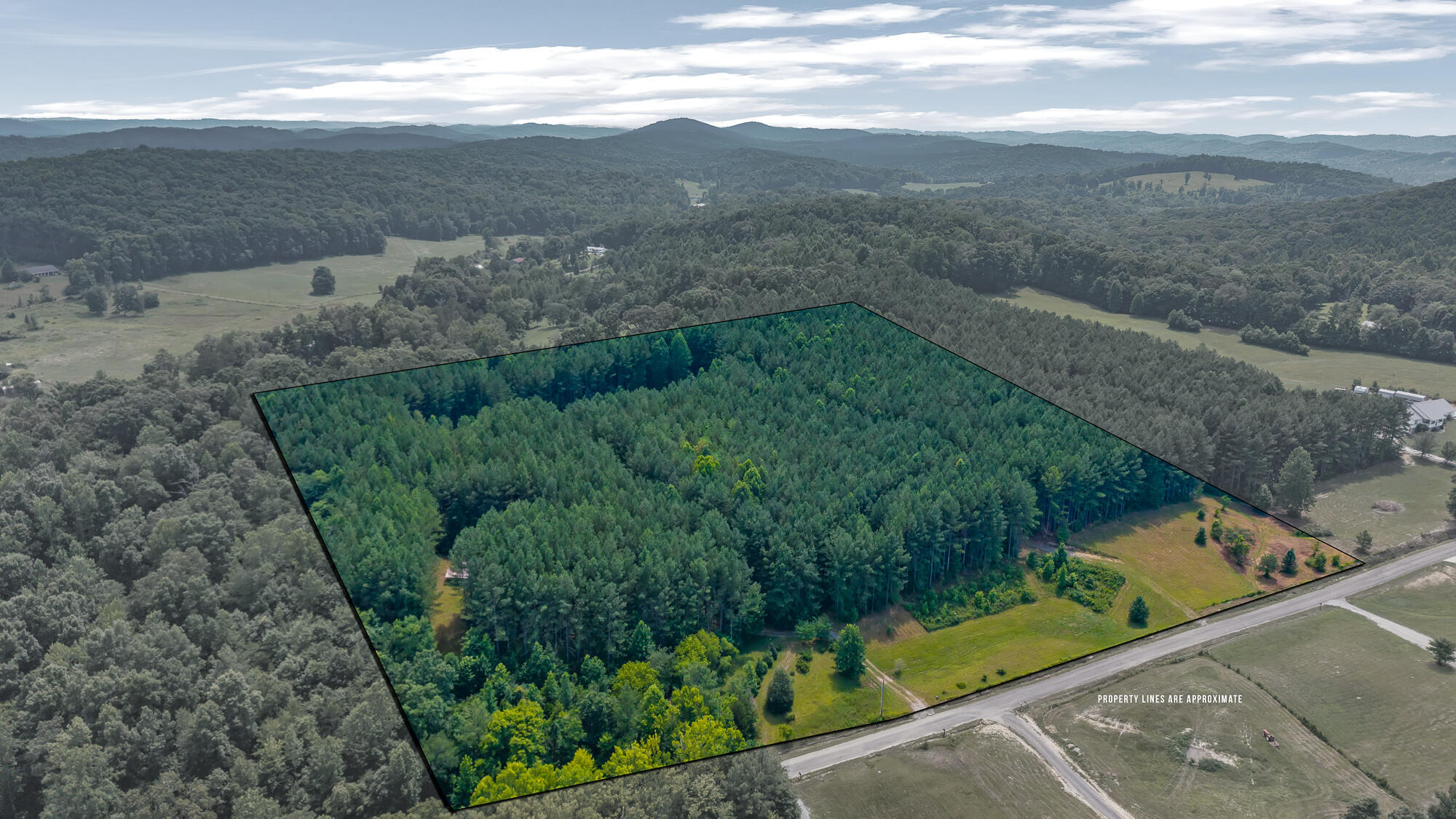Property Photo: 129 County Road 192 TN 37826