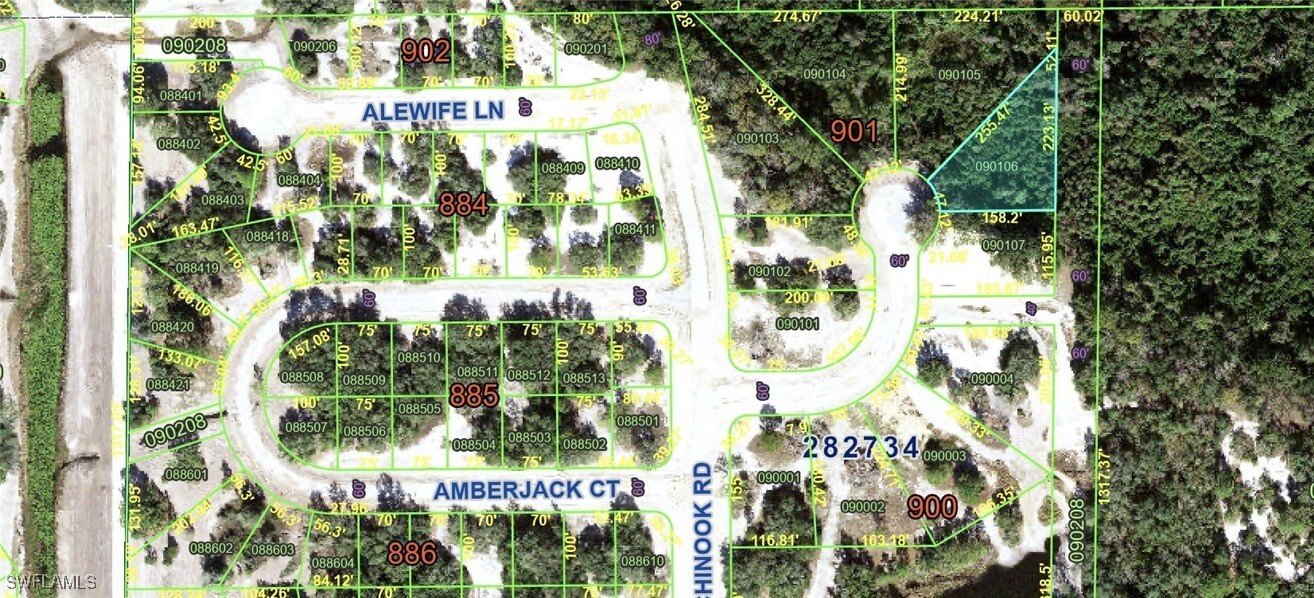 Property Photo:  350 Amberjack Lane  FL 34759 