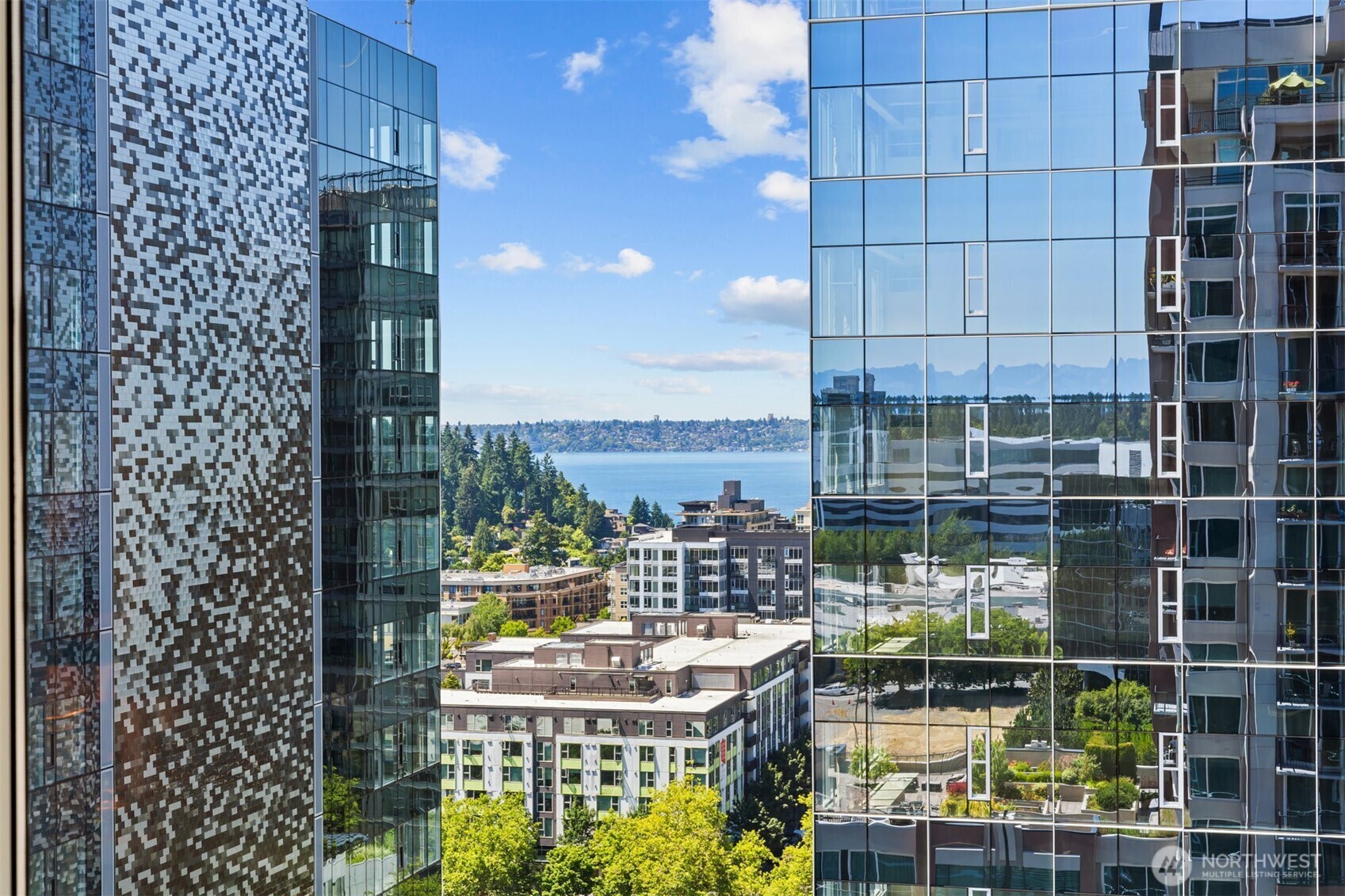 177  107th Avenue NE 1906  Bellevue WA 98004 photo