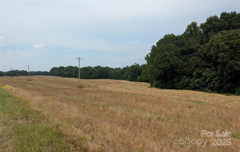 1455 Blonnie Ross Road  Polkton NC 28135 photo