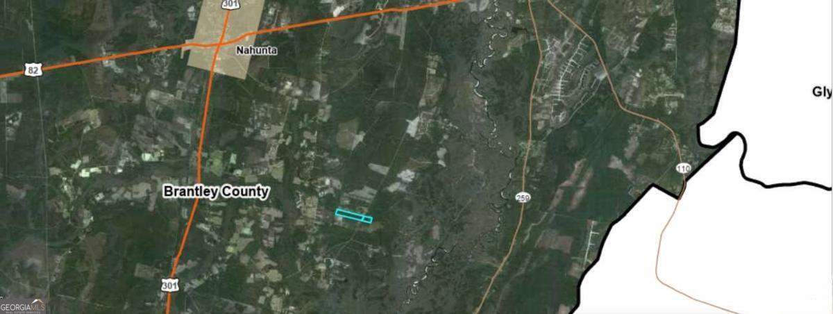 Property Photo: 0 Knox Road GA 31553