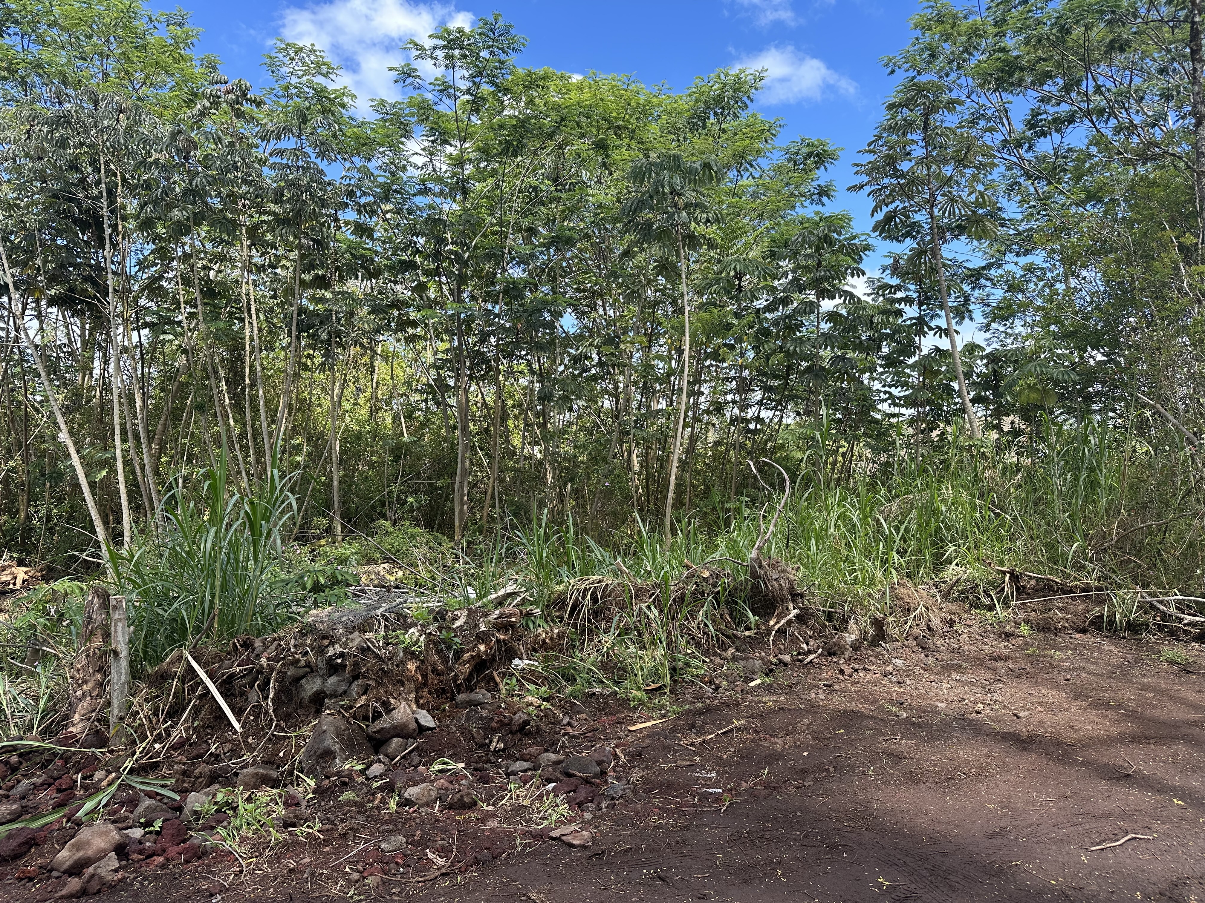 King Kamehameha Blvd  Keaau HI 96749 photo