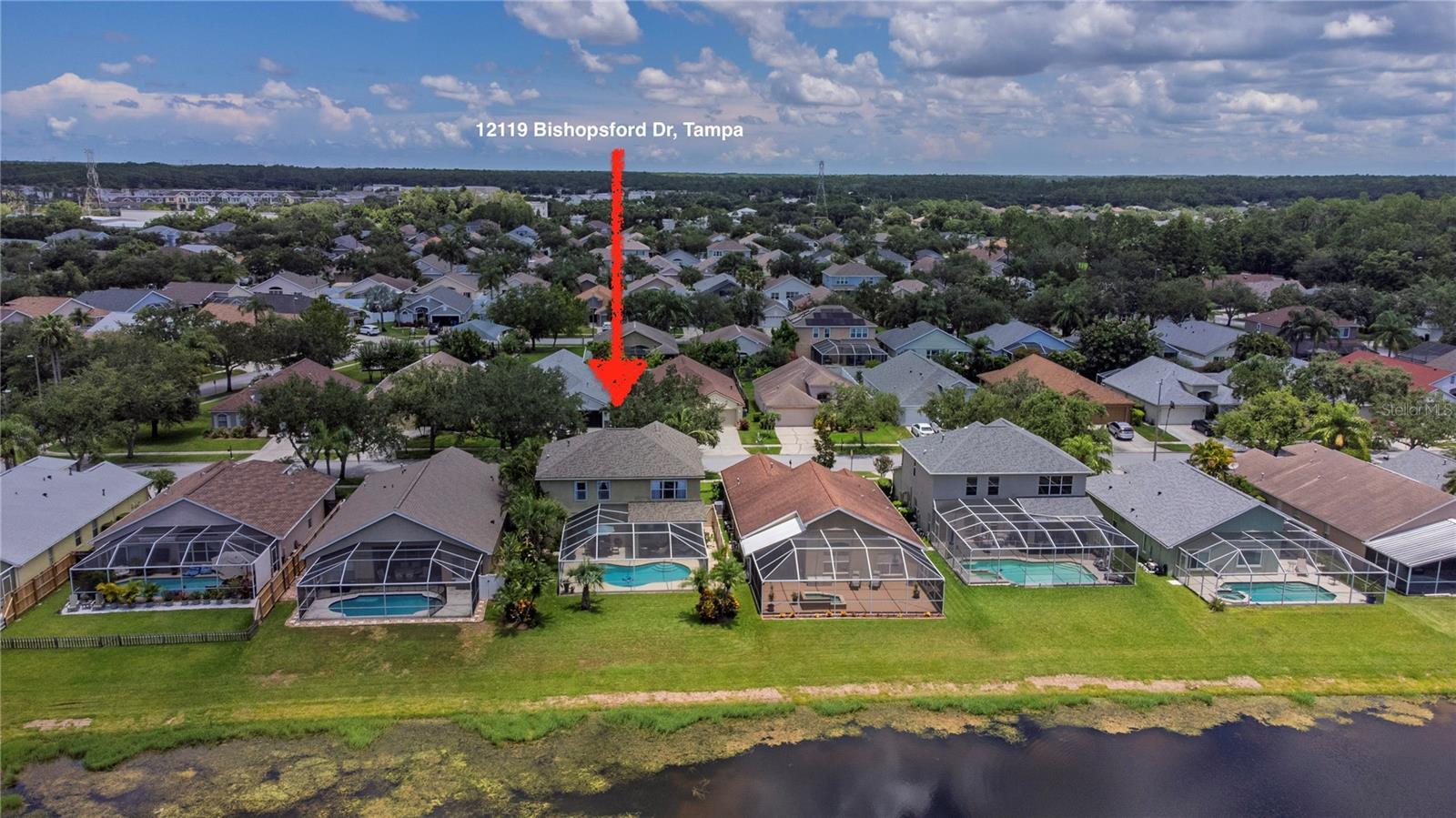 Property Photo:  12119 Bishopsford Drive  FL 33626 