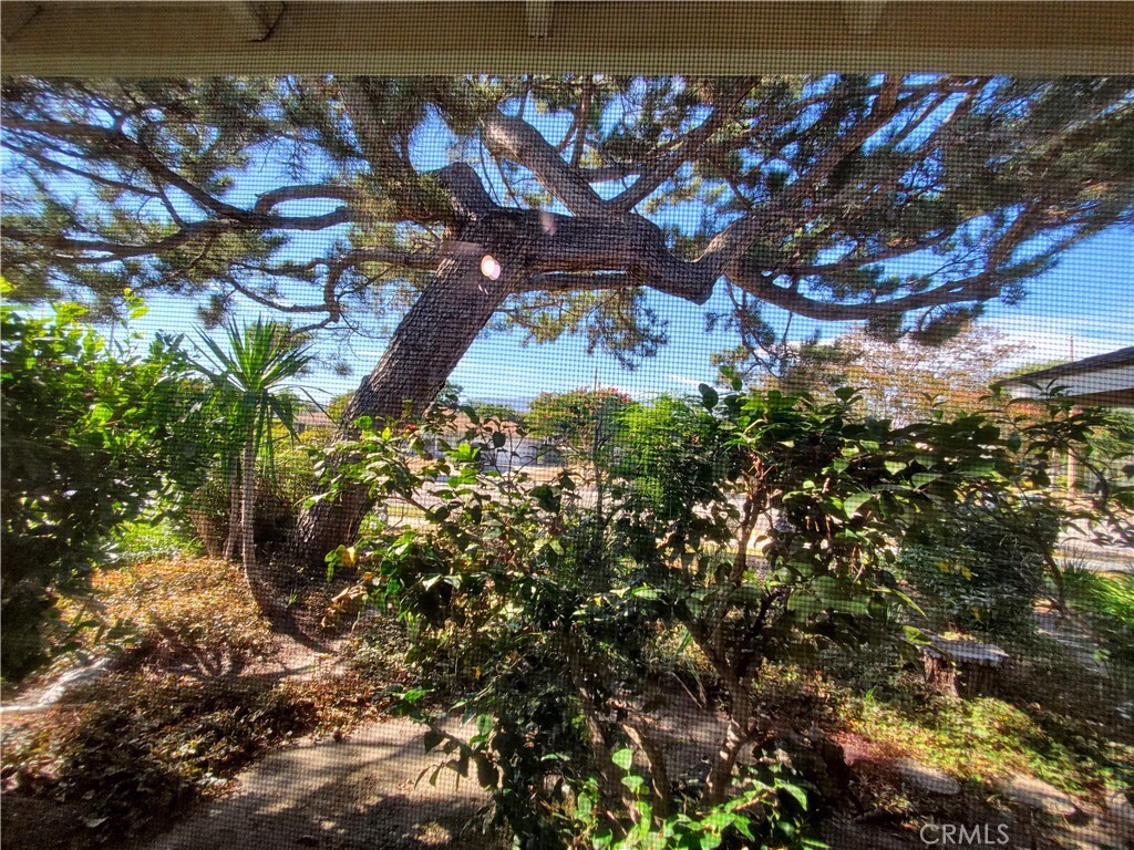 Property Photo: 1012 Ottawa Drive CA 91711