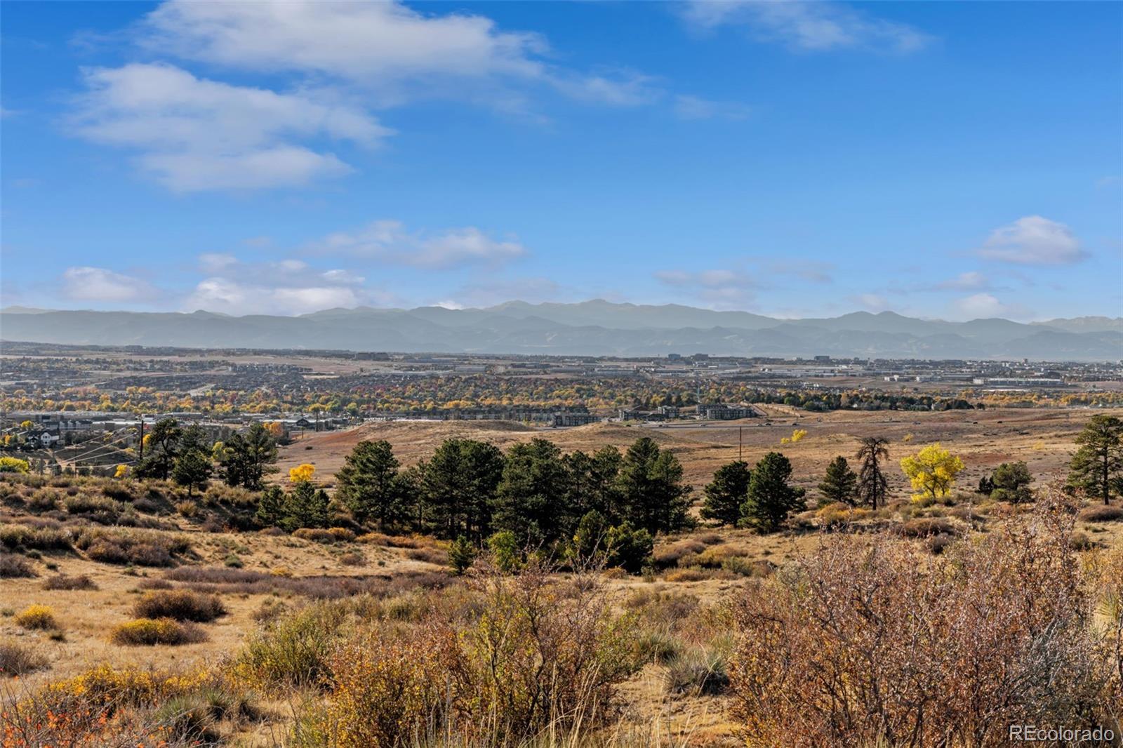 Property Photo:  13500 Pine Drive  CO 80138 