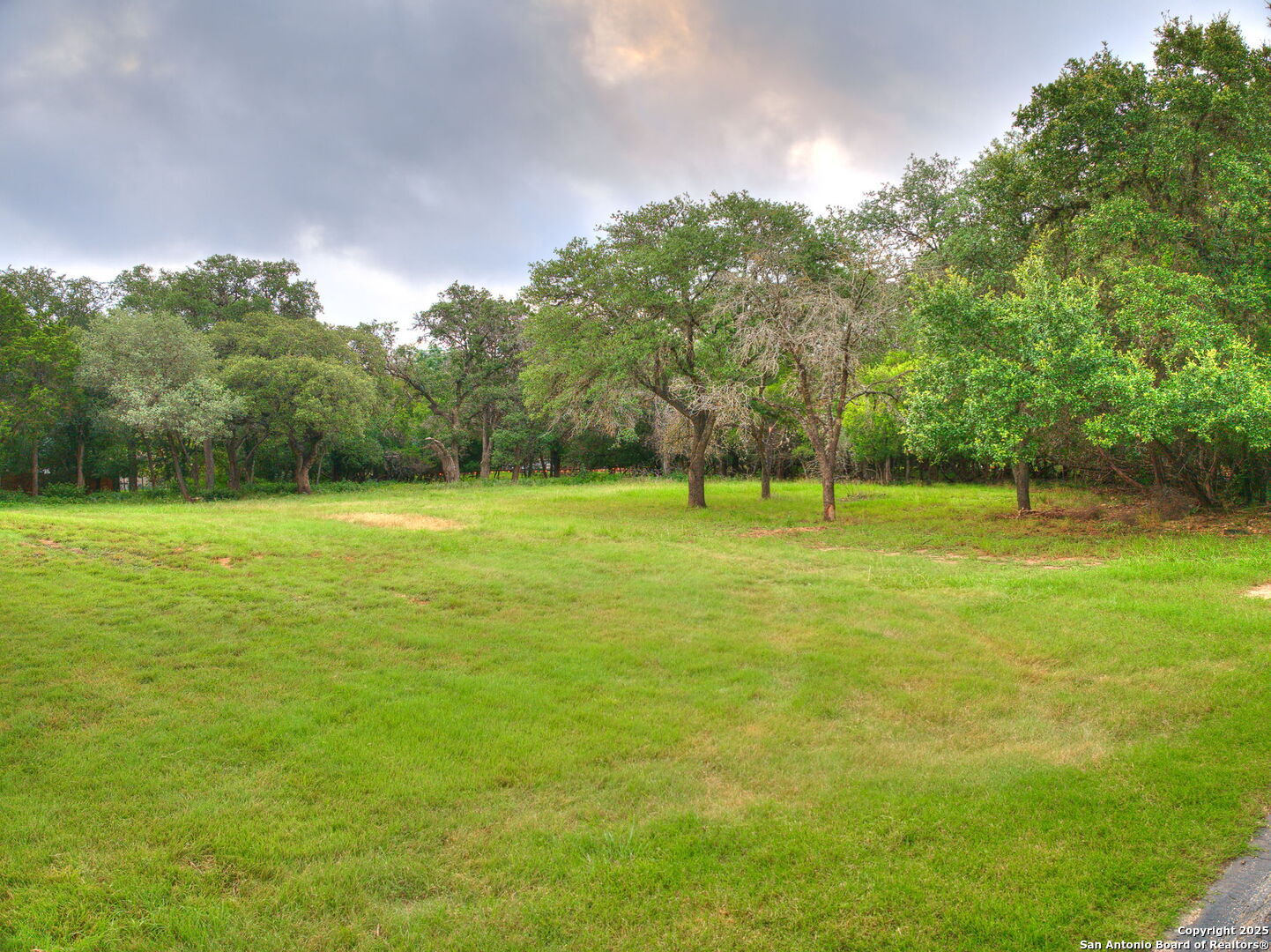 16602 Springhill  San Antonio TX 78232 photo