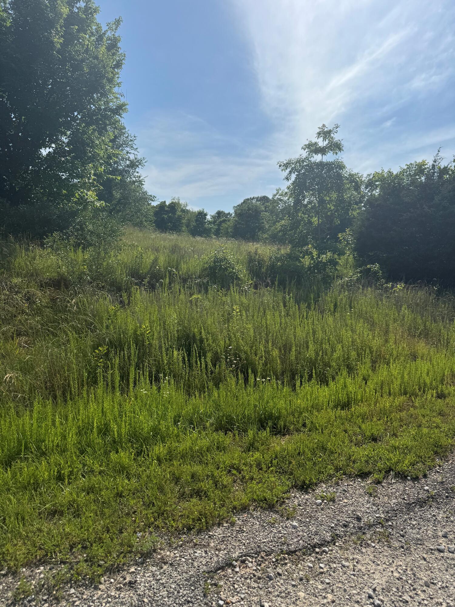 Property Photo:  Tbd Lot 24 Blockade Village North  MO 65745 