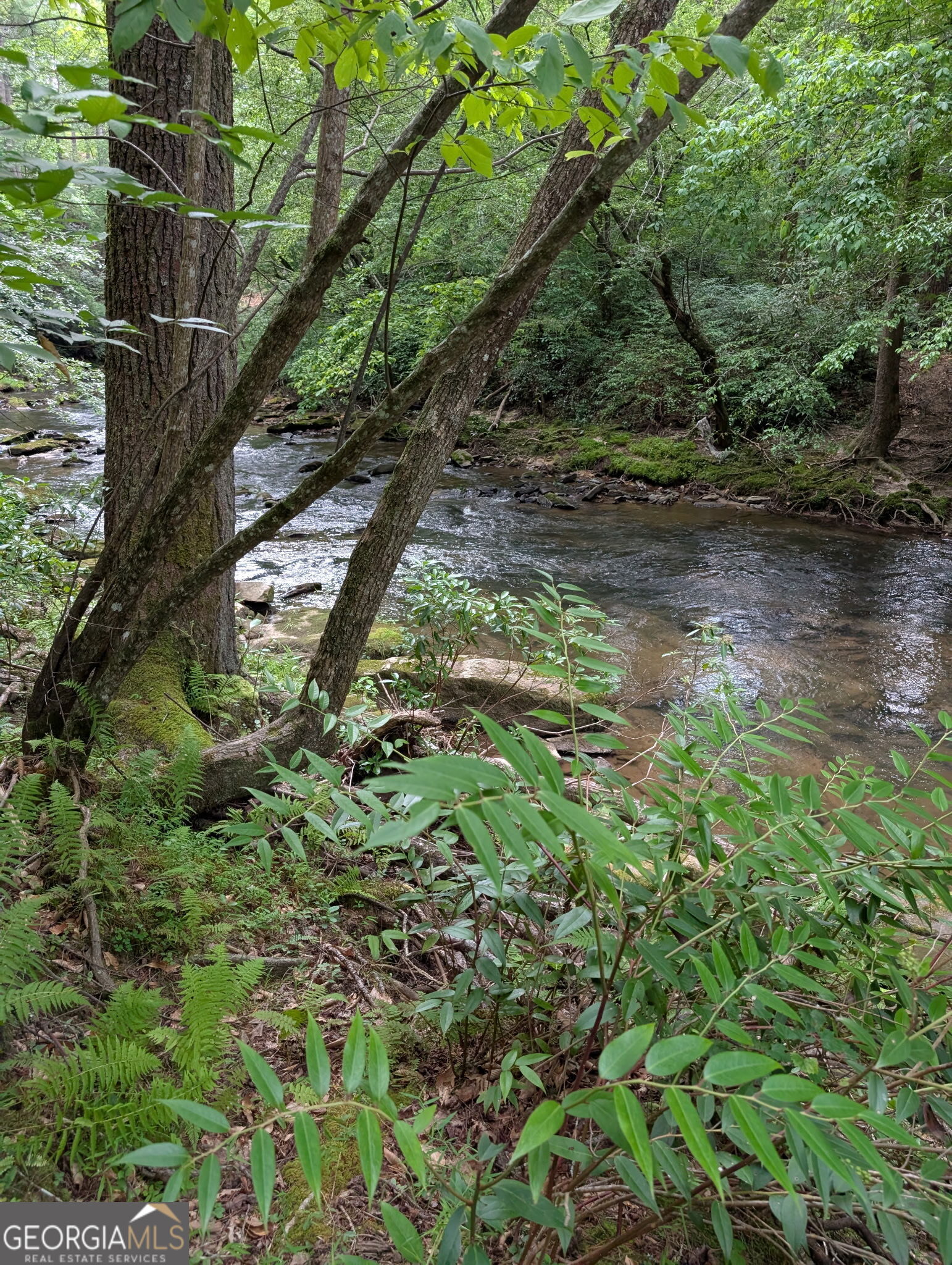 Property Photo: Lt 32 Byers Road GA 30512