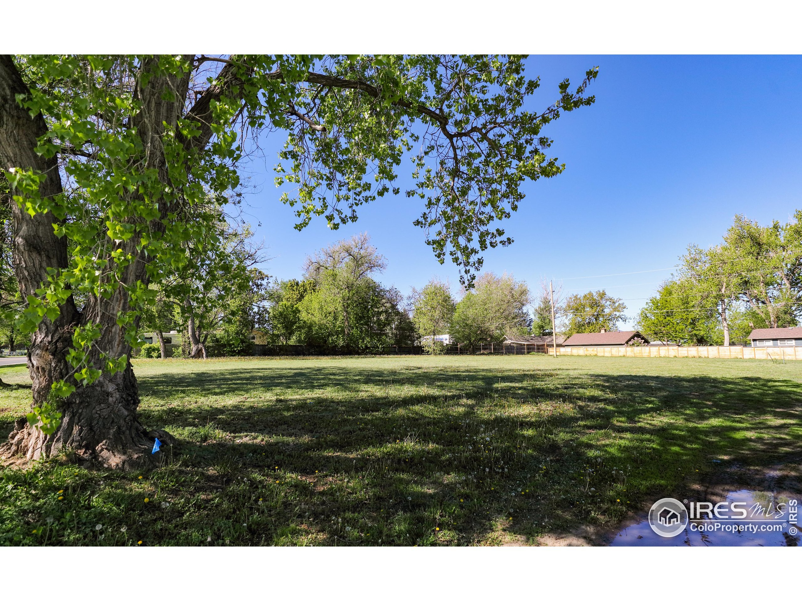 Property Photo: 11880 Juniper St CO 80026