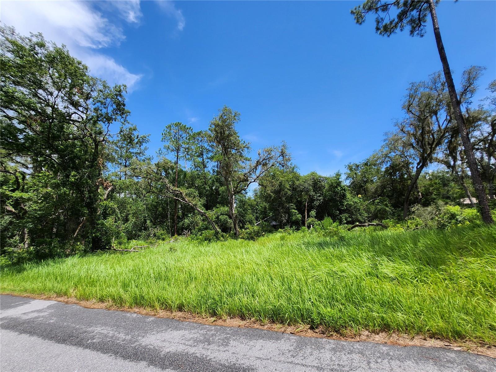 Property Photo: Tbd Oak Lane Way FL 34472
