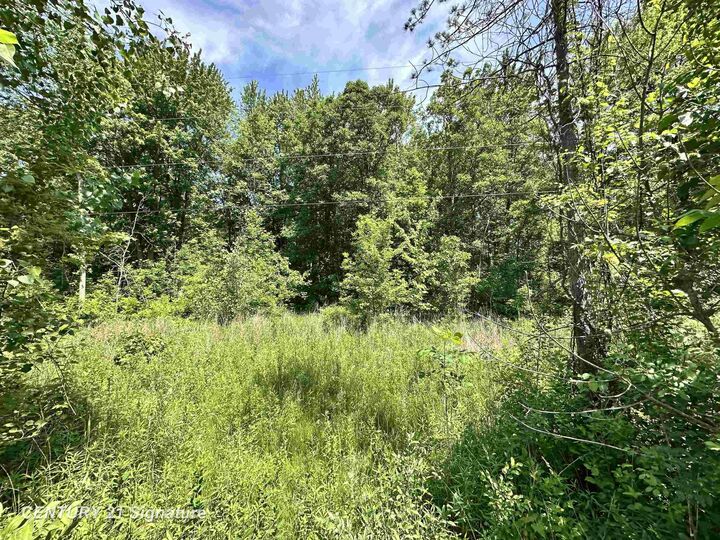 Property Photo: Vl Dale Road MI 48612