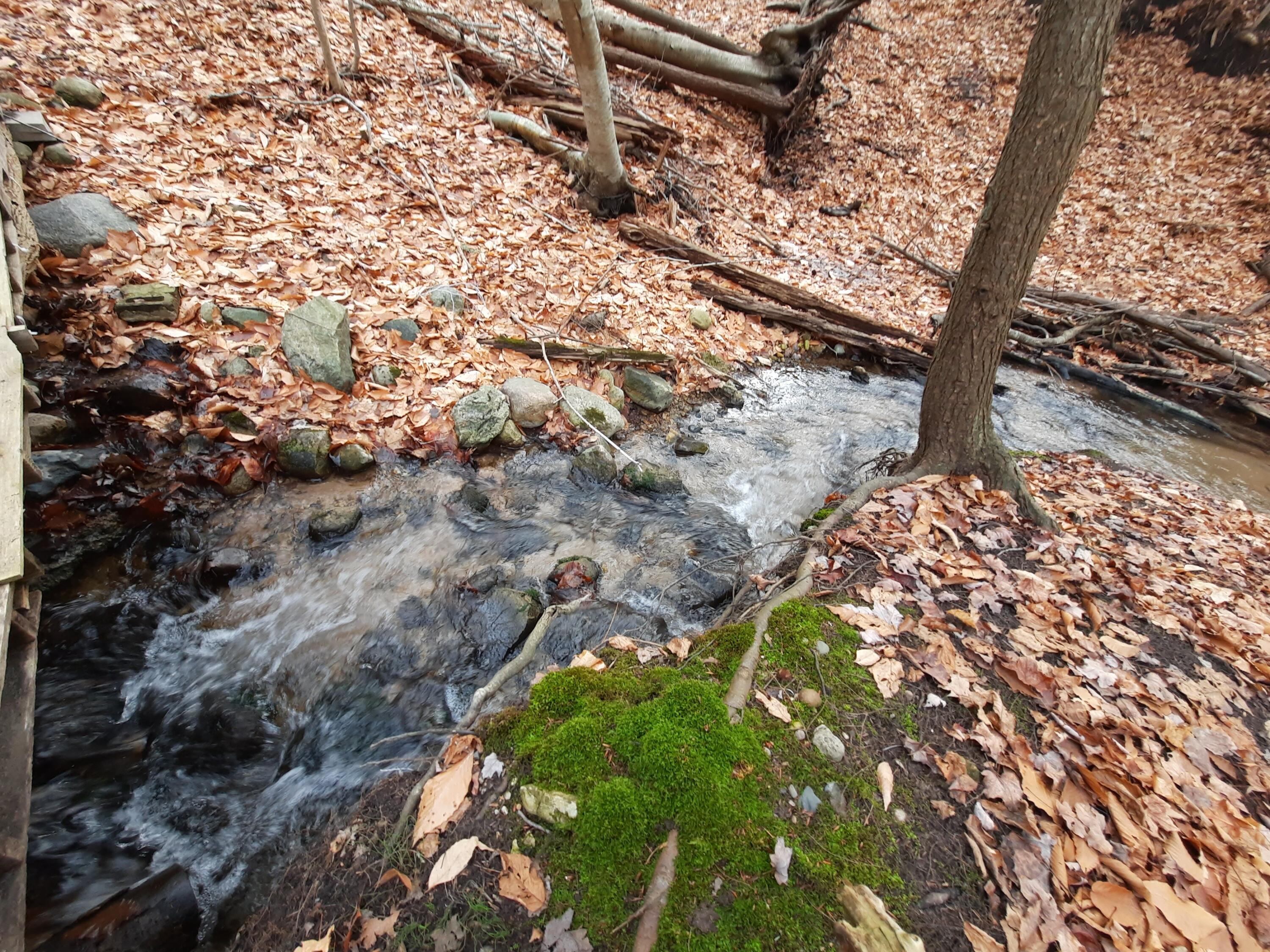 Property Photo: 9 Acres, Third Street MI 49675