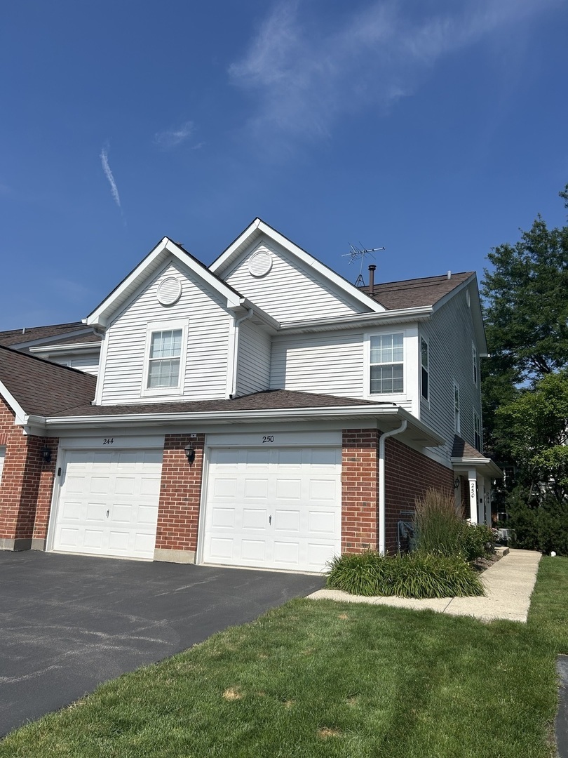 Property Photo: 250 Ashbury Lane E 250 IL 60172