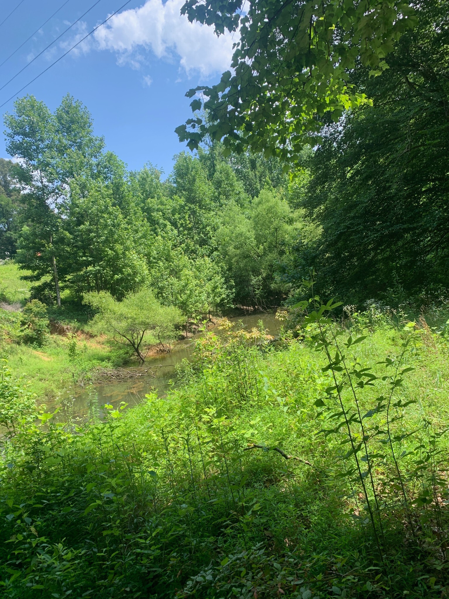 Property Photo:  0 Smith Chapel Dr  TN 37160 