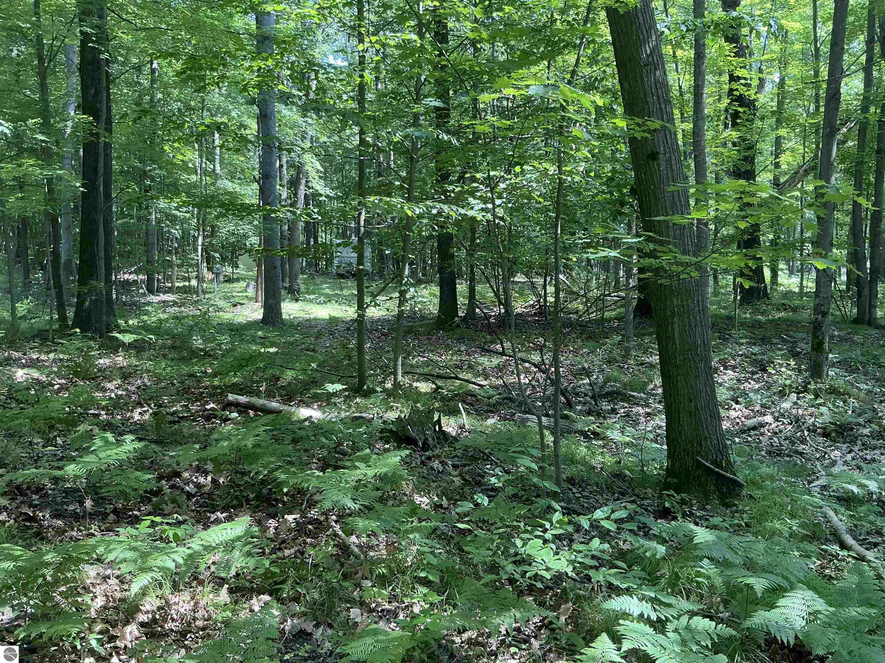 Property Photo: 115 W Ridge Circle MI 49655