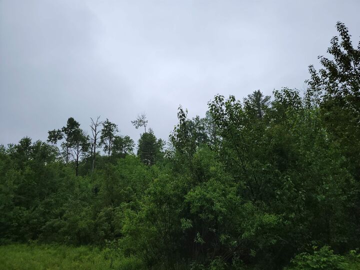 Property Photo: 105 Alpenhof Road NH 03574