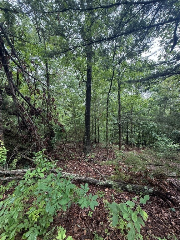 Property Photo: Lot 7, Block 5 Banff Drive AR 72715
