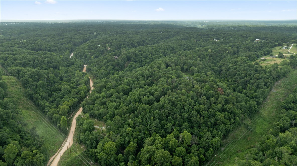 Property Photo:  Esculapia Hollow Road Lot 1  AR 72758 