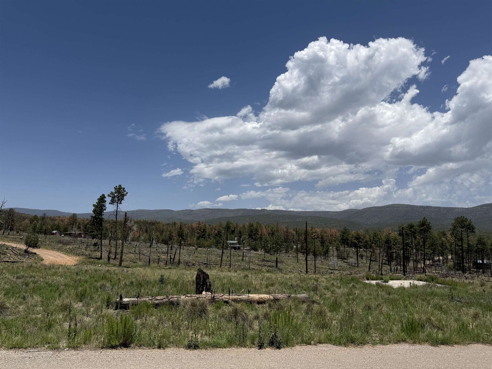 Property Photo:  53 Coshacion Dr  NM 88350 