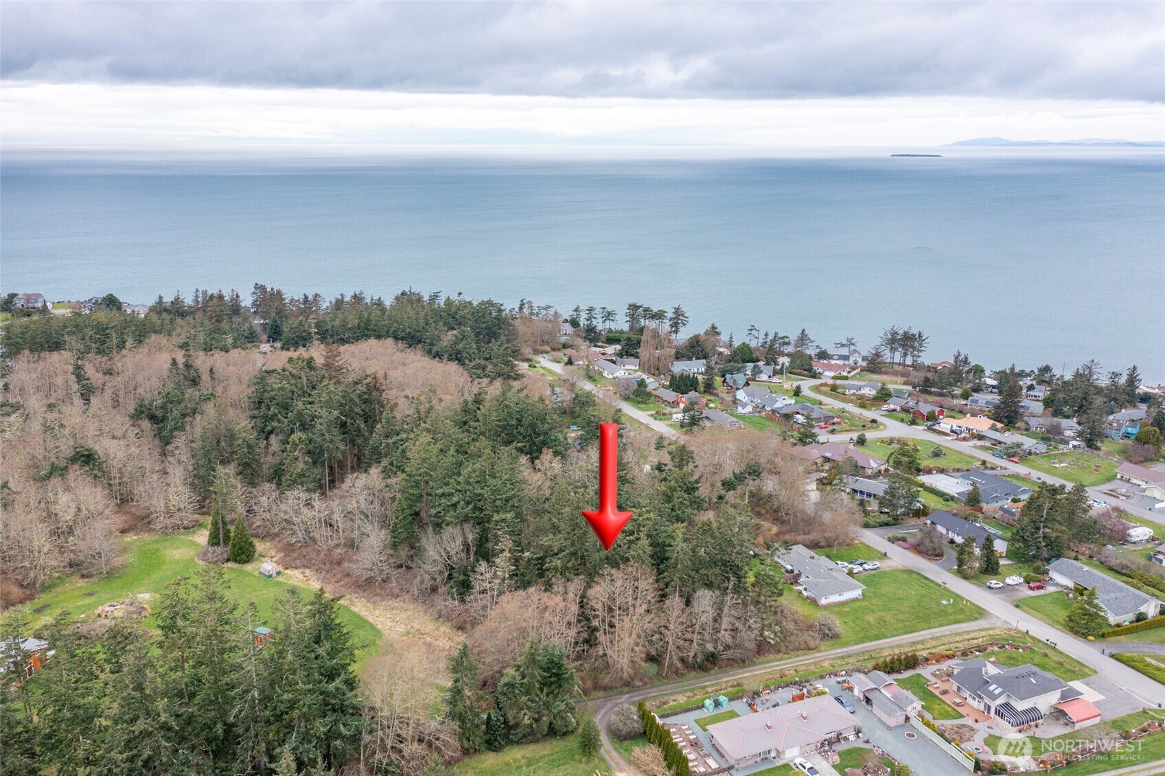 0  Sabrina  Oak Harbor WA 98277 photo