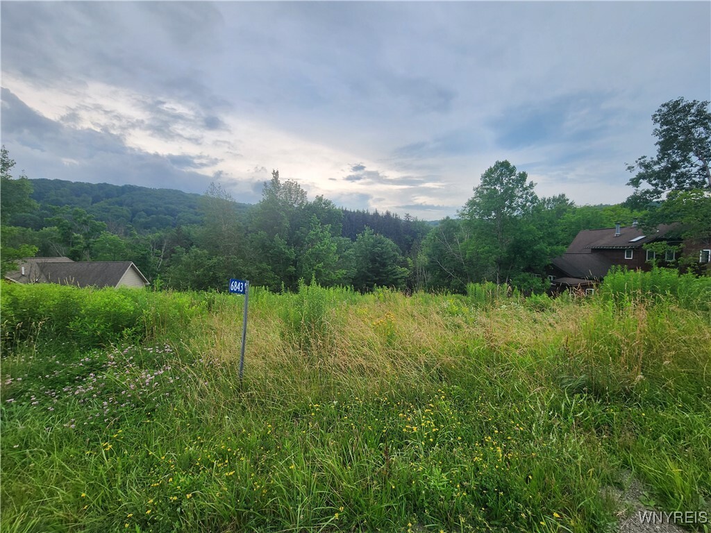 Property Photo: 6843 Springs Road NY 14731