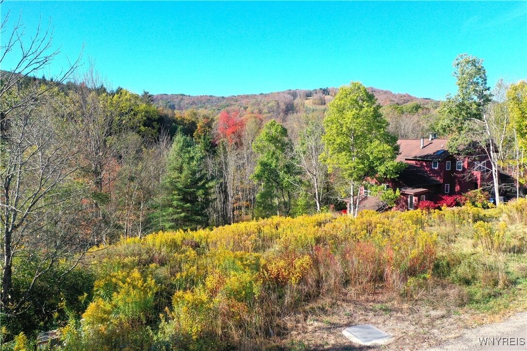 Property Photo: 6843 Springs Road NY 14731