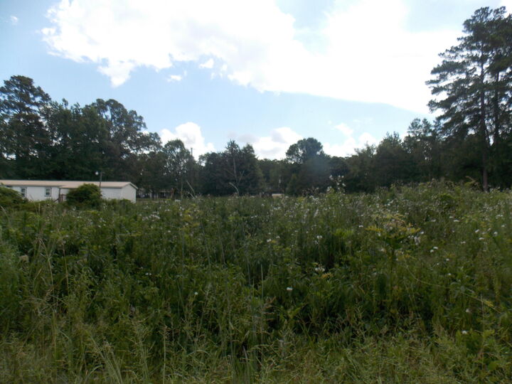 Property Photo: 00 Chamberlain Ferry Rd GA 30817