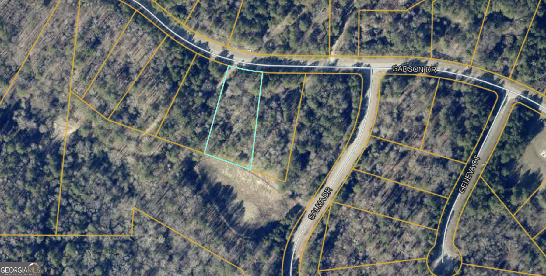 Property Photo: 210 Gadson Drive Lot 47 GA 30214