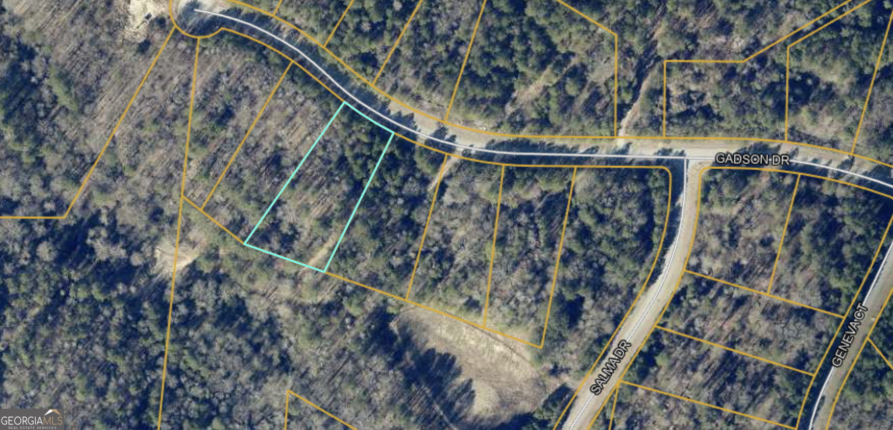 Property Photo: 230 Gadson Drive Lot 45 GA 30214
