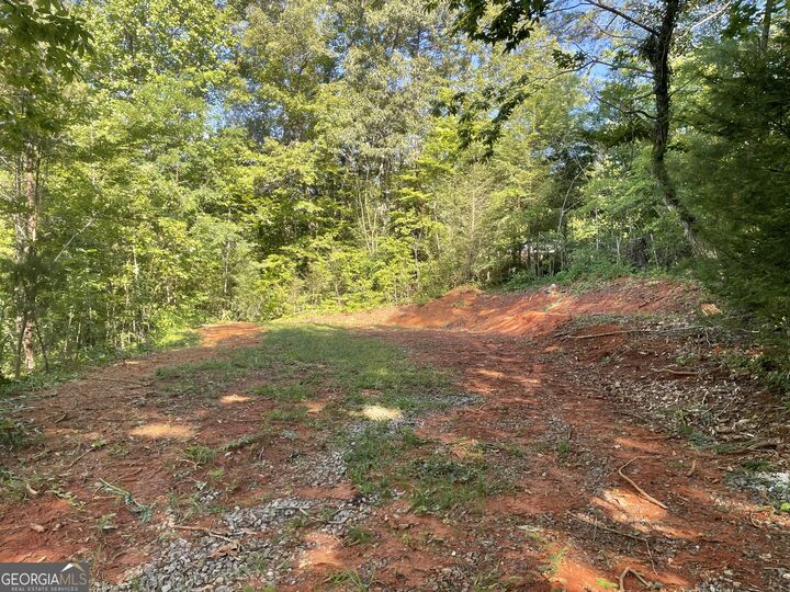 Property Photo:  0 Green Street  GA 30525 