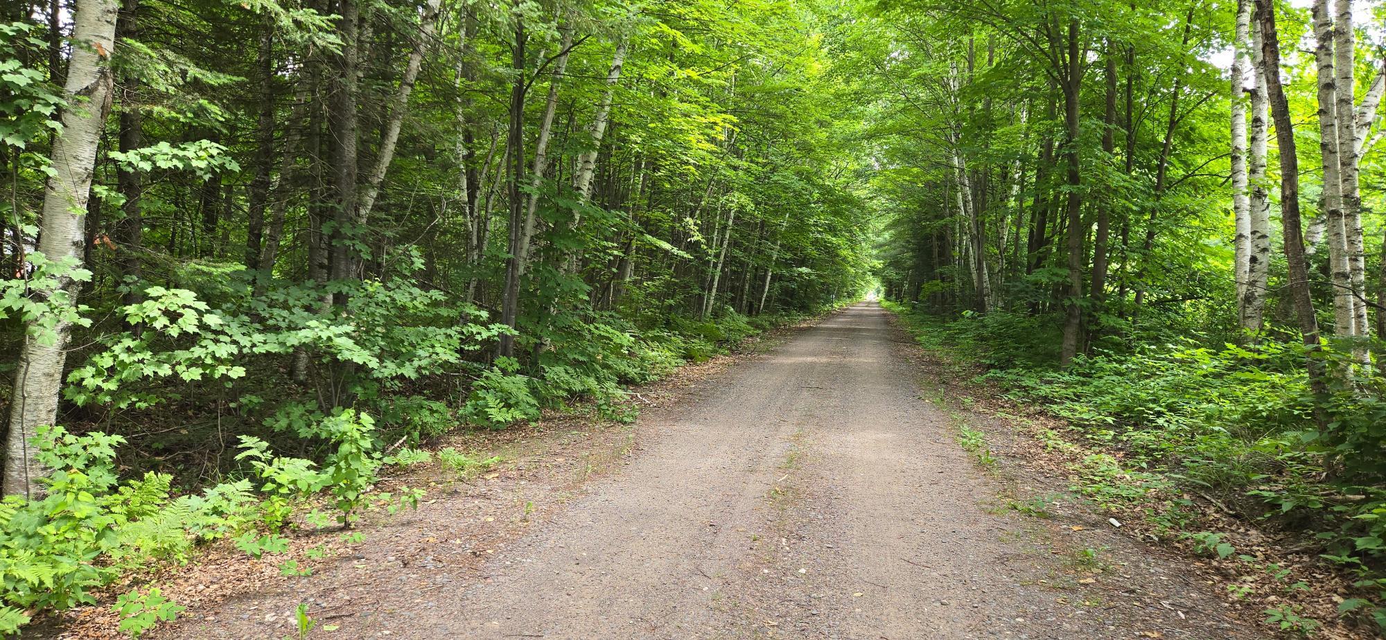Property Photo: Lot 7 Bolton Lake Ln W WI 54538