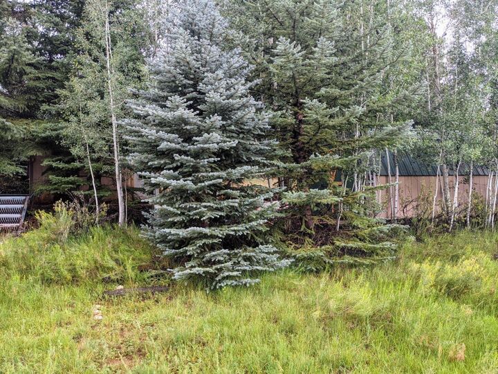 Property Photo:  175 N Apollo Trail  UT 84762 
