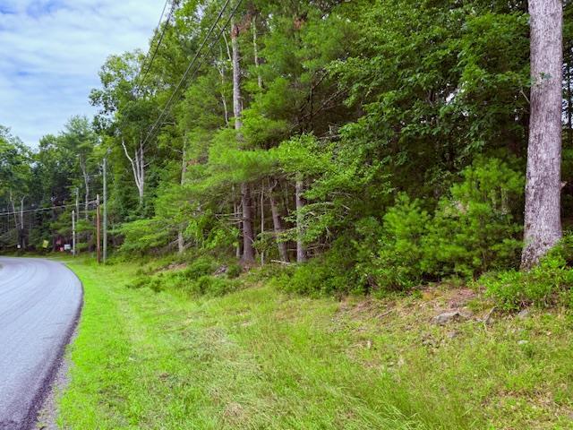 Property Photo: Lot 42 Leers Road NY 12737