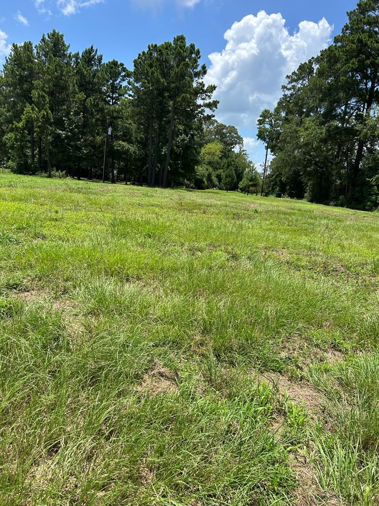 Property Photo: R143751 (Lot28) Dena Kay Drive TX 74904