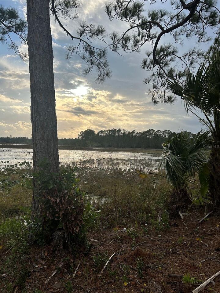 Property Photo: Jewell Drive FL 32720